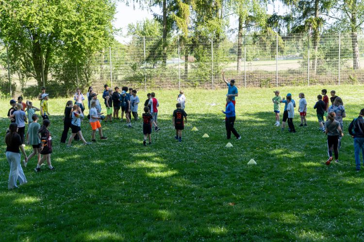 DSC05951-Verbessert-RR